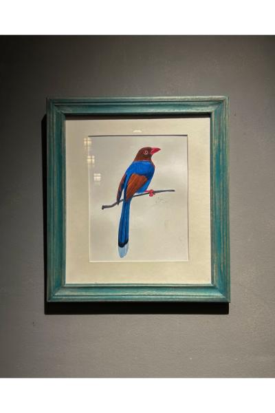 Nimesh Weerasinghe - Ceylon Blue Magpie II